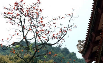 Thiền sư và xuân